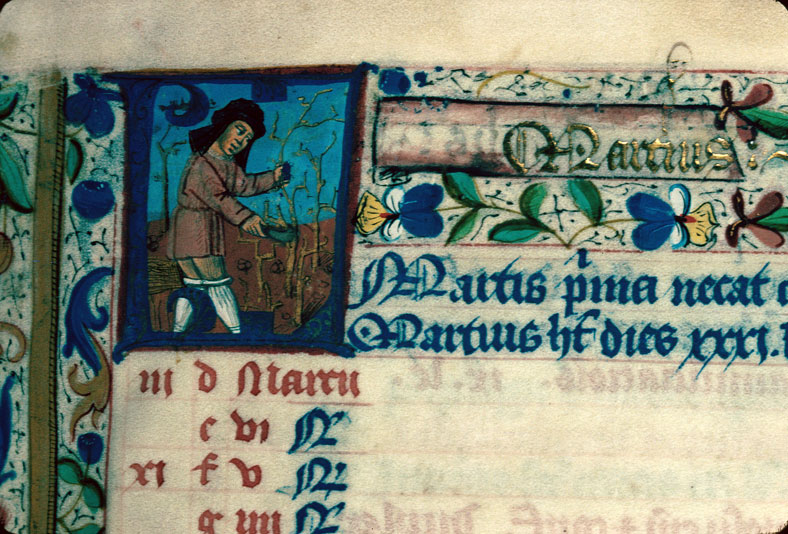 Bréviaire à l'usage de Langres - Taille de la vigne