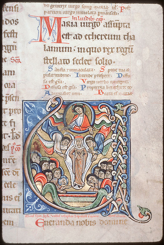 Sacramentaire à l'usage de Saint-Martin de Tours - Assomption