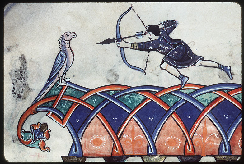 Bible - Chasse aux oiseaux_1