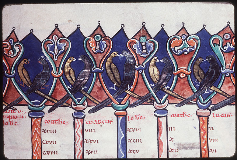 Bible - Oiseaux affrontés_1