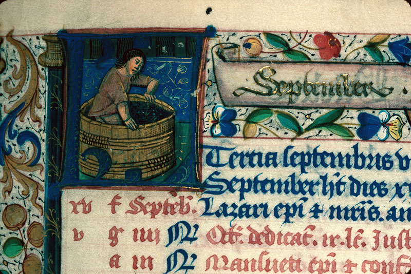 Bréviaire à l'usage de Langres - Foulage du raisin