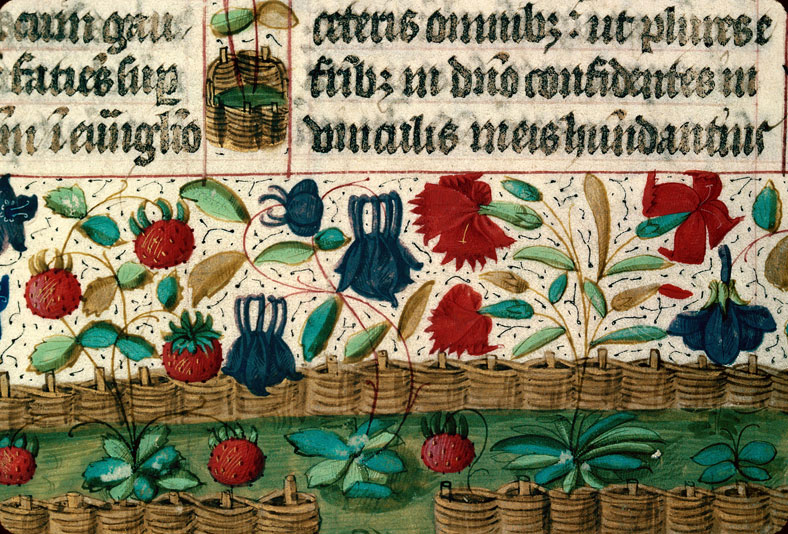 Bréviaire à l'usage de Langres - Page décorée