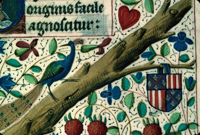 Bréviaire à l'usage de Langres - Page décorée, avec armes (à identifier)_1