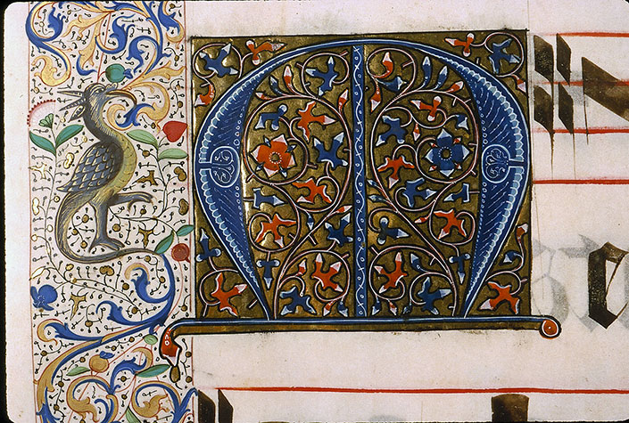 Graduel à l'usage de la cathédrale du Mans - Hybride zoomorphe