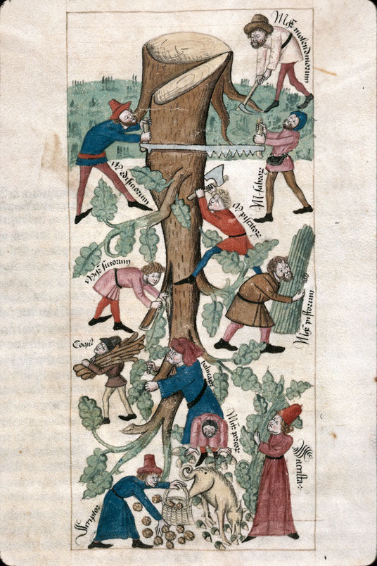 Speculum humanae salvationis - Arbre renversé (L')