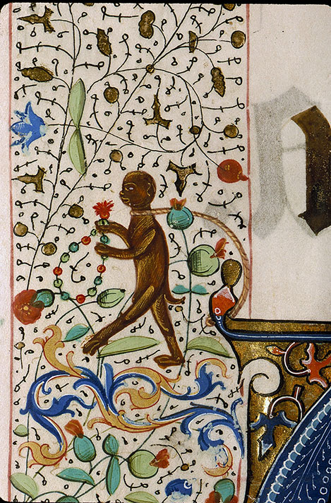 Graduel à l'usage de la cathédrale du Mans - Singe