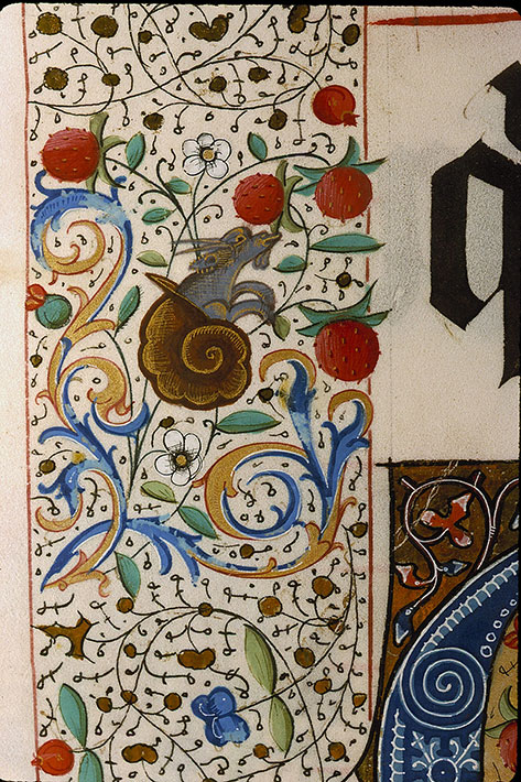 Graduel à l'usage de la cathédrale du Mans - Hybride zoomorphe