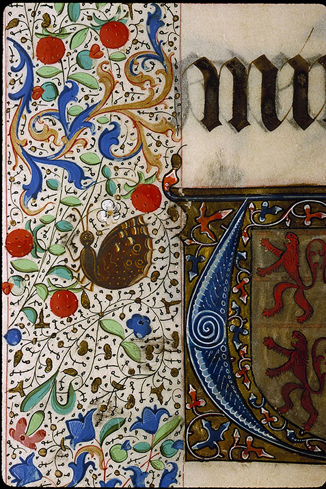 Graduel à l'usage de la cathédrale du Mans - Papillon