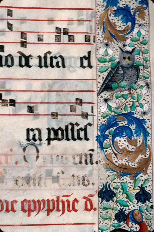 Graduel à l'usage de Saint-Dié - Page décorée, avec armes du chapitre de Saint-Dié_1