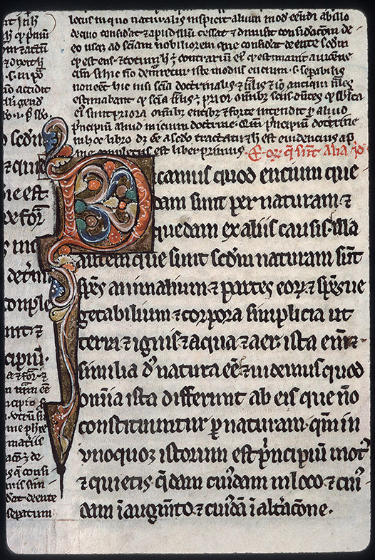 Physica - Initiale ornée
