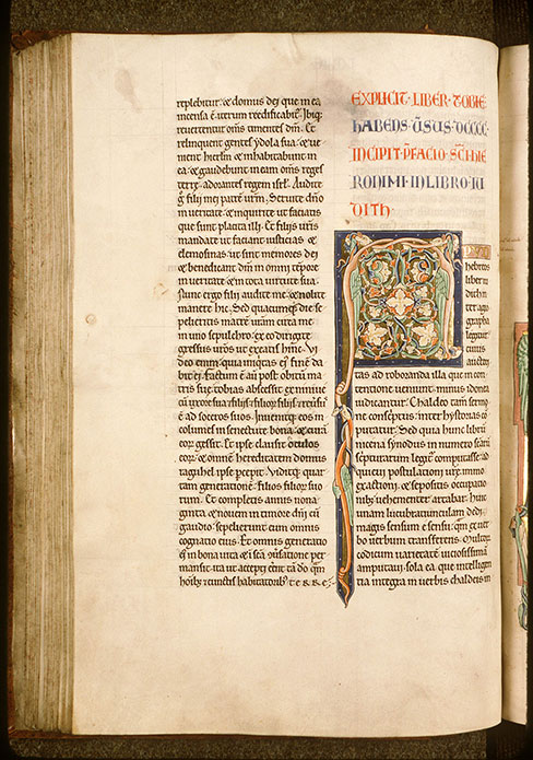 Bible - Hybrides zoomorphes_2