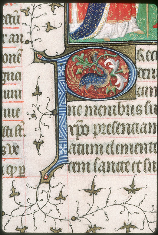 Bréviaire à l'usage de Paris - Oiseau et fleur de lis