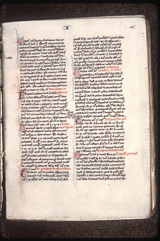 Compendium medicinae - Initiales filigranées