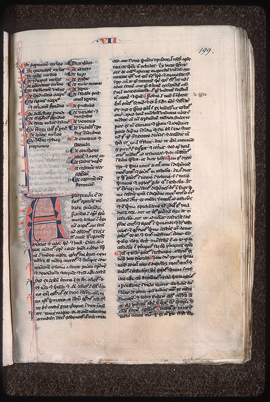 Compendium medicinae - Initiale filigranée