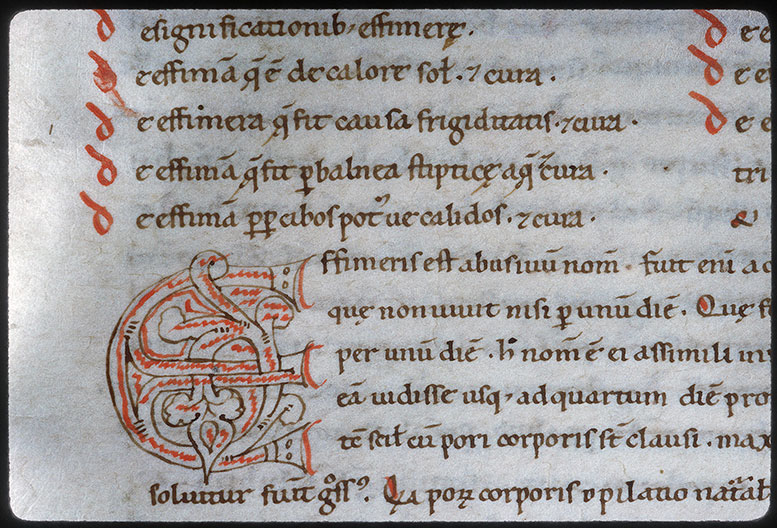 Opuscula - Initiale ornée