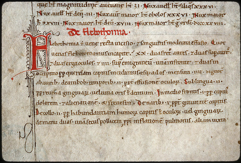  - Initiale filigranée