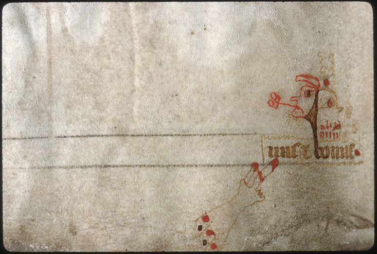 Catholicon - Manicule/Tête d'homme