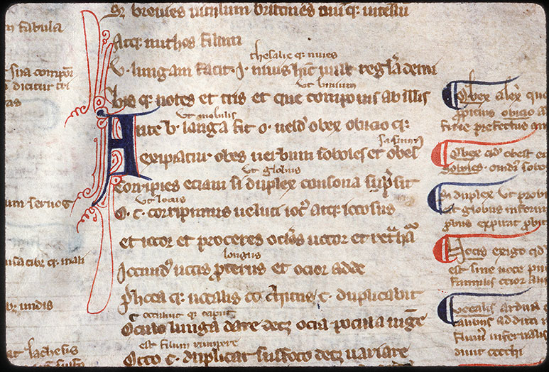 Doctrinale - Initiale filigranée