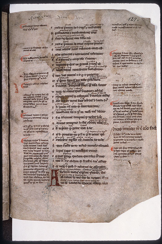 Doctrinale - Initiale filigranée_1