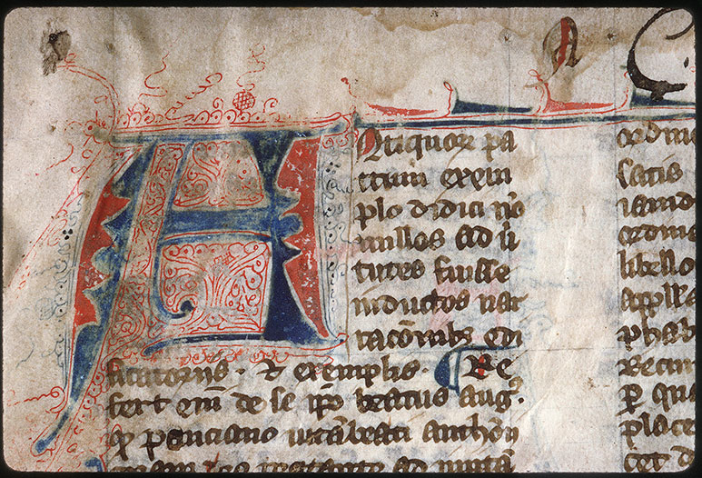Alphabetum narrationum - Initiale filigranée