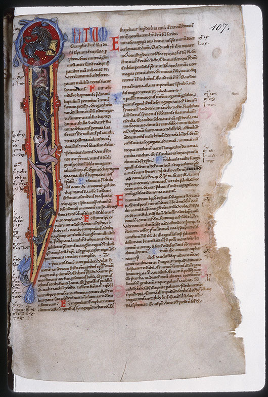 Bible (partie de) - Hommes nus et animaux_2