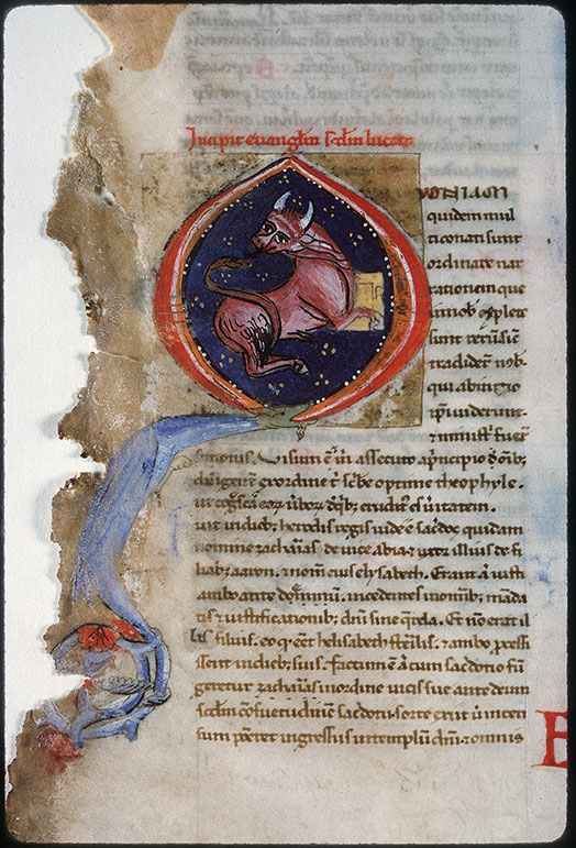 Bible (partie de) - Boeuf de saint Luc