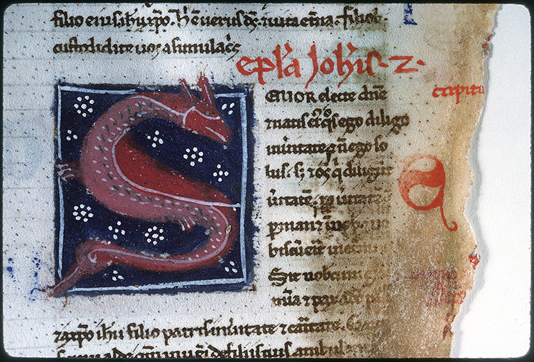Bible (partie de) - Hybride zoomorphe
