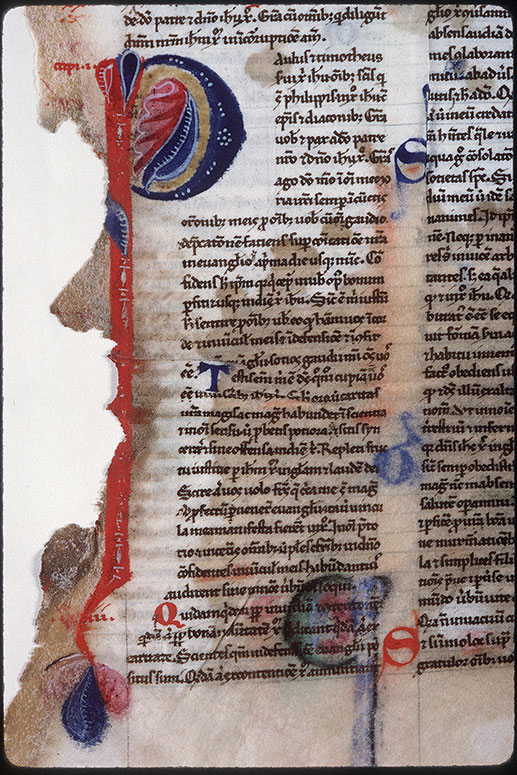 Bible (partie de) - Initiale ornée