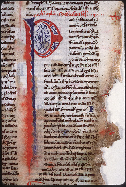 Bible (partie de) - Initiale ornée