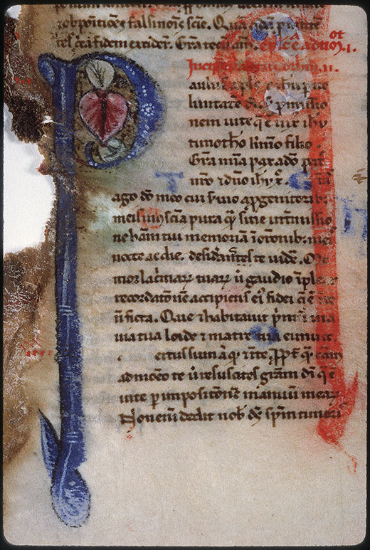 Bible (partie de) - Initiale ornée