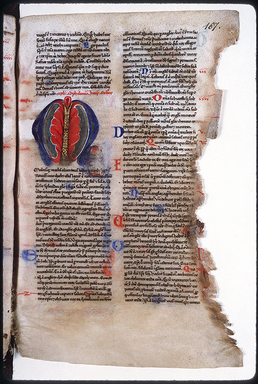 Bible (partie de) - Initiale ornée