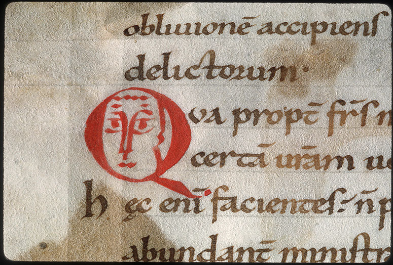 Bible (partie de) - Visage