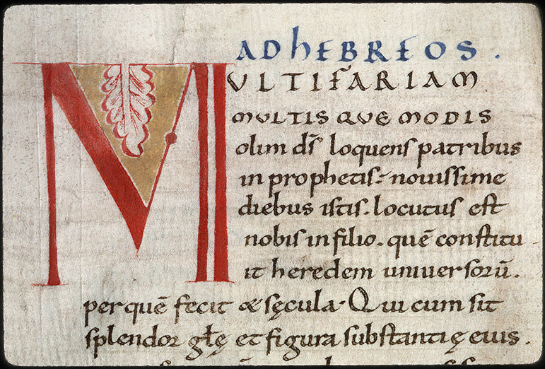 Bible (partie de) - Initiale de couleur
