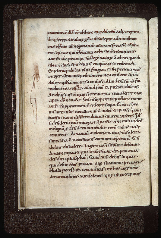 Excessu fratris sui satyri (De) - Femme_1