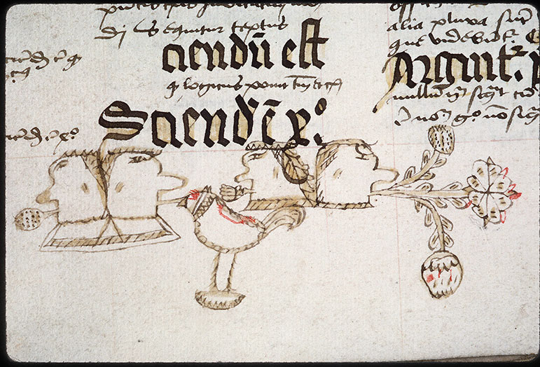 Summulae logicales (à préciser) - Coq/Têtes d'hommes crachant des végétaux
