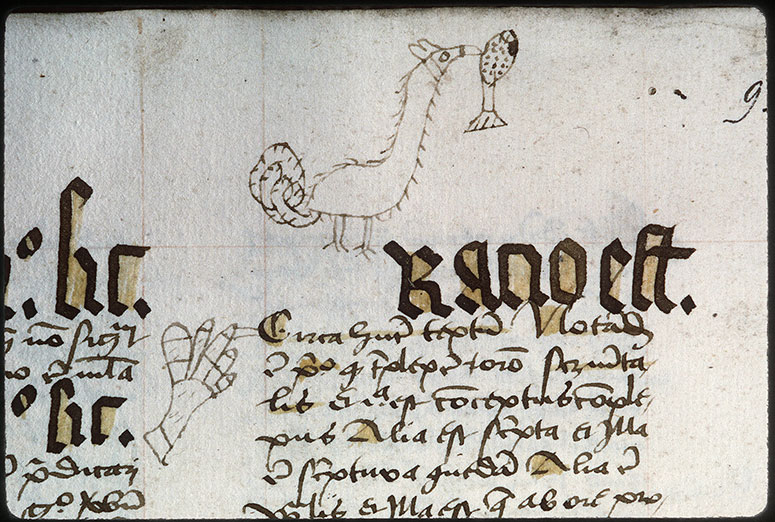 Summulae logicales (à préciser) - Oiseau picorant