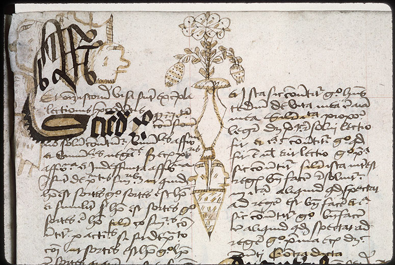 Summulae logicales (à préciser) - Têtes d'hommes/Vase de fleurs