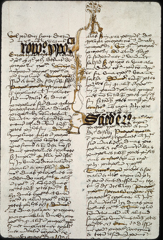 Summulae logicales (à préciser) - Oiseau/Têtes d'hommes/Vase de fleurs