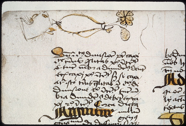 Summulae logicales (à préciser) - Tête d'homme/Vase de fleurs