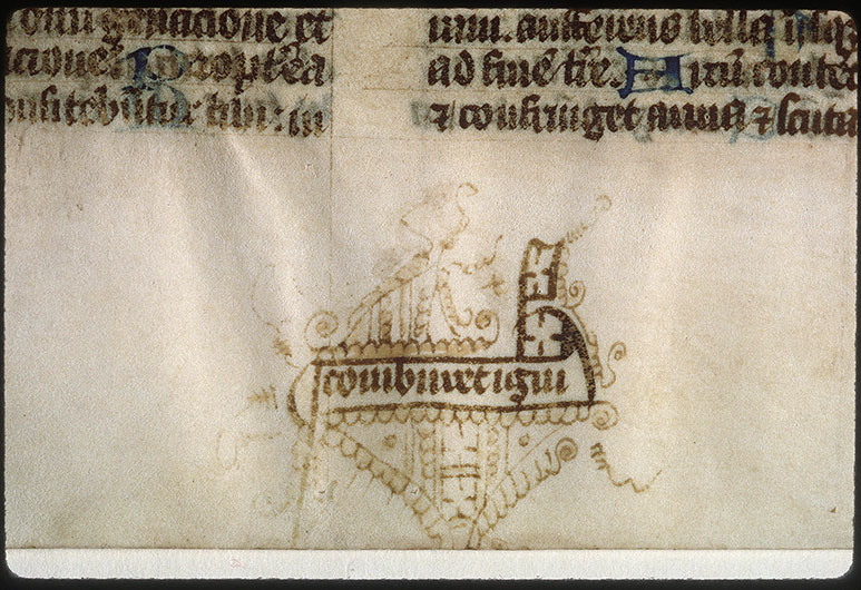 Bréviaire à l'usage des ermites de saint Augustin - Motifs végétaux et géométriques