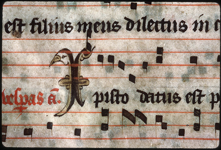Antiphonaire - Initiale juridique