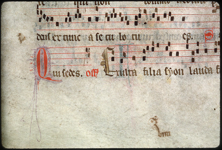 Graduel - Initiale filigranée