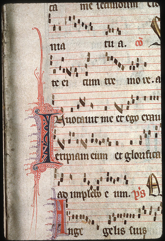 Graduel - Initiale filigranée