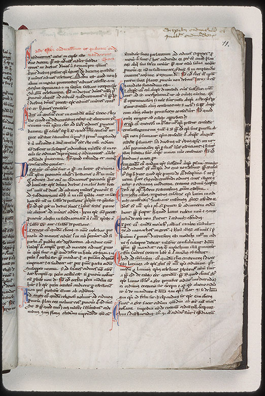 Casus Decretalium - Initiales filigranées