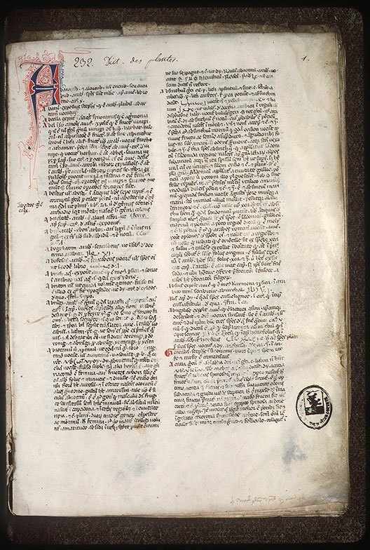 Index arabicus in Avicennam - Initiale filigranée_1