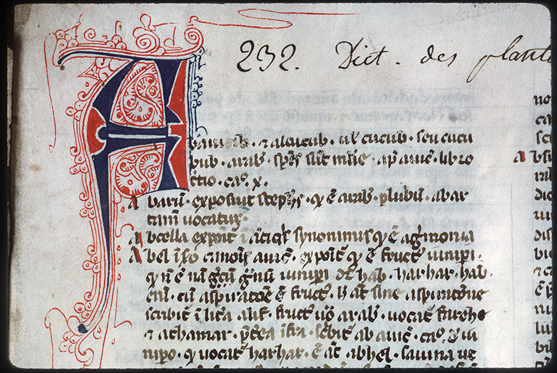 Index arabicus in Avicennam - Initiale filigranée
