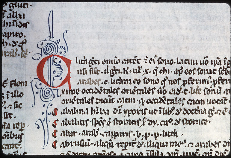 Index arabicus in Avicennam - Initiale filigranée
