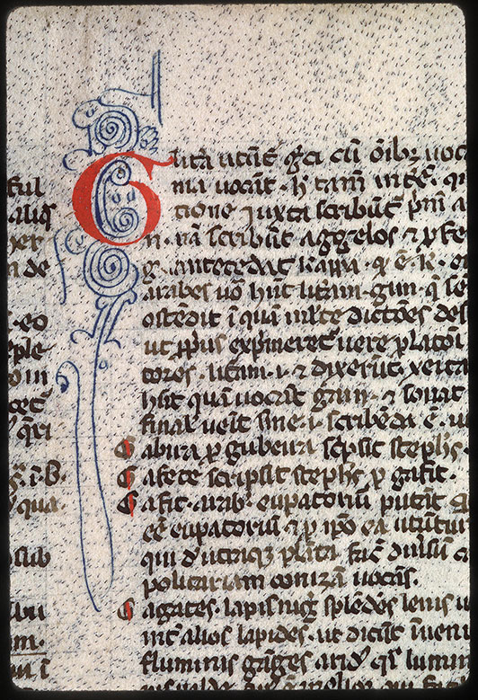 Index arabicus in Avicennam - Initiale filigranée