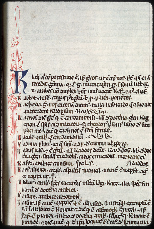 Index arabicus in Avicennam - Initiale filigranée