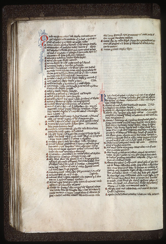 Index arabicus in Avicennam - Initiales filigranées